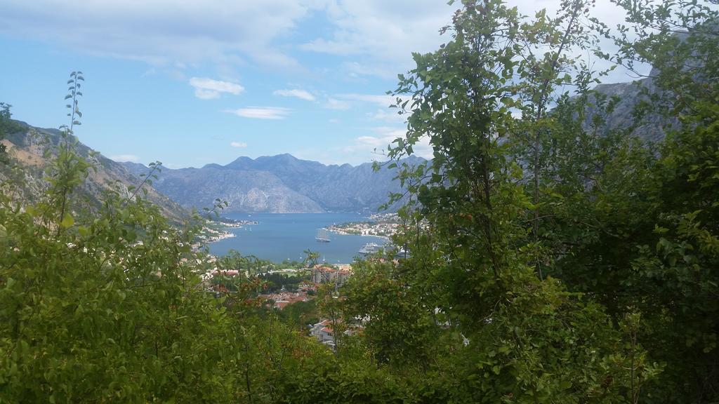 Apartments Panoramic Paradise Kotor Bagian luar foto